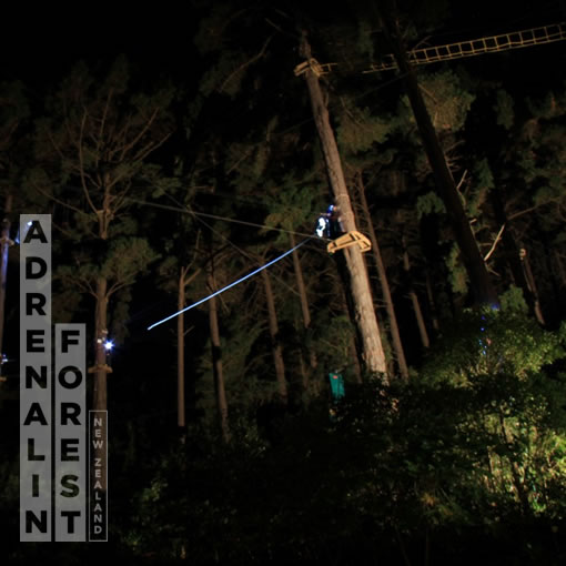 High ropes course at night