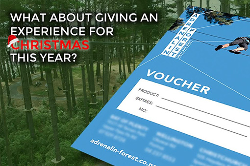 Christmas Vouchers