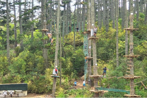 Adventure at Adrenalin Forest Auckland