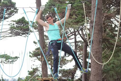 Adrenalin Forest Wellington