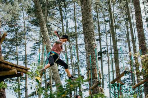tree adventure