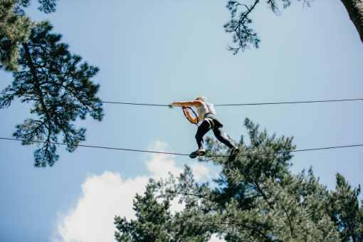 Climbing Adventure Adrenalin Forest