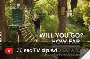 video-30sec-clip