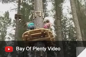 Bay Of Plenty Adrenalin Forest