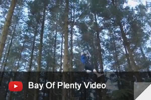 Bay Of Plenty Adrenalin Forest